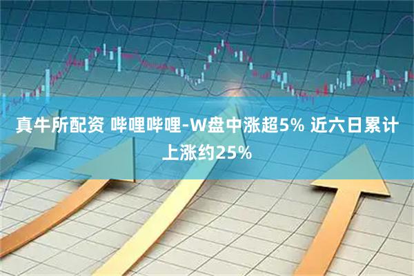 真牛所配资 哔哩哔哩-W盘中涨超5% 近六日累计上涨约25%