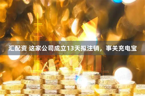 汇配资 这家公司成立13天拟注销，事关充电宝
