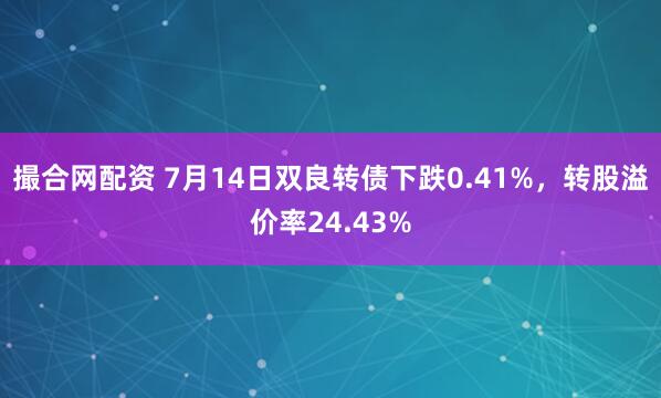 撮合网配资 7月14日双良转债下跌0.41%，转股溢价率24.43%