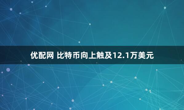 优配网 比特币向上触及12.1万美元