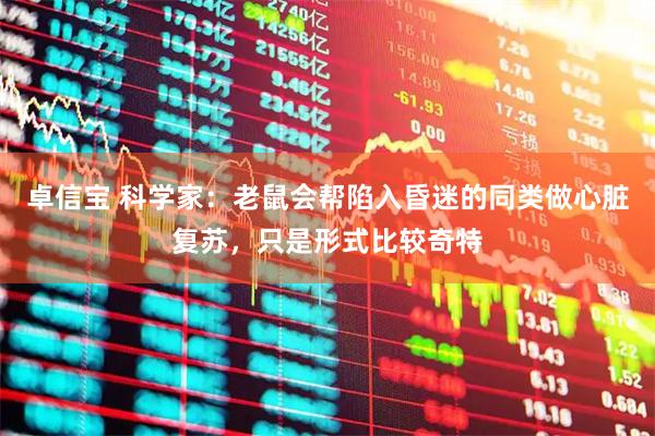 卓信宝 科学家：老鼠会帮陷入昏迷的同类做心脏复苏，只是形式比较奇特