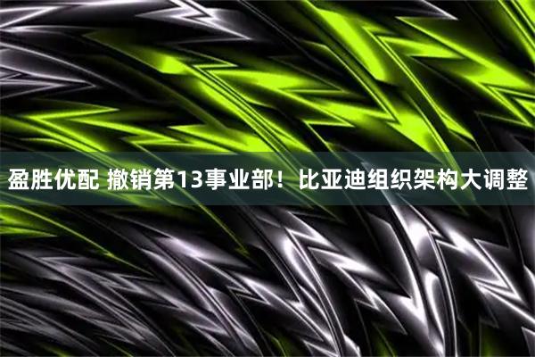 盈胜优配 撤销第13事业部！比亚迪组织架构大调整